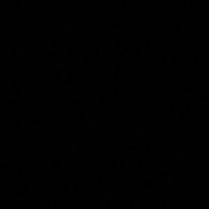 Meet your Posher, Bryson